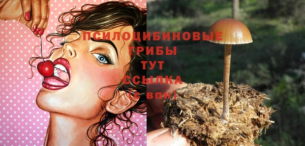 герыч Алексин
