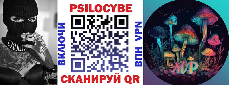 Псилоцибиновые грибы Psilocybe  Сурск 